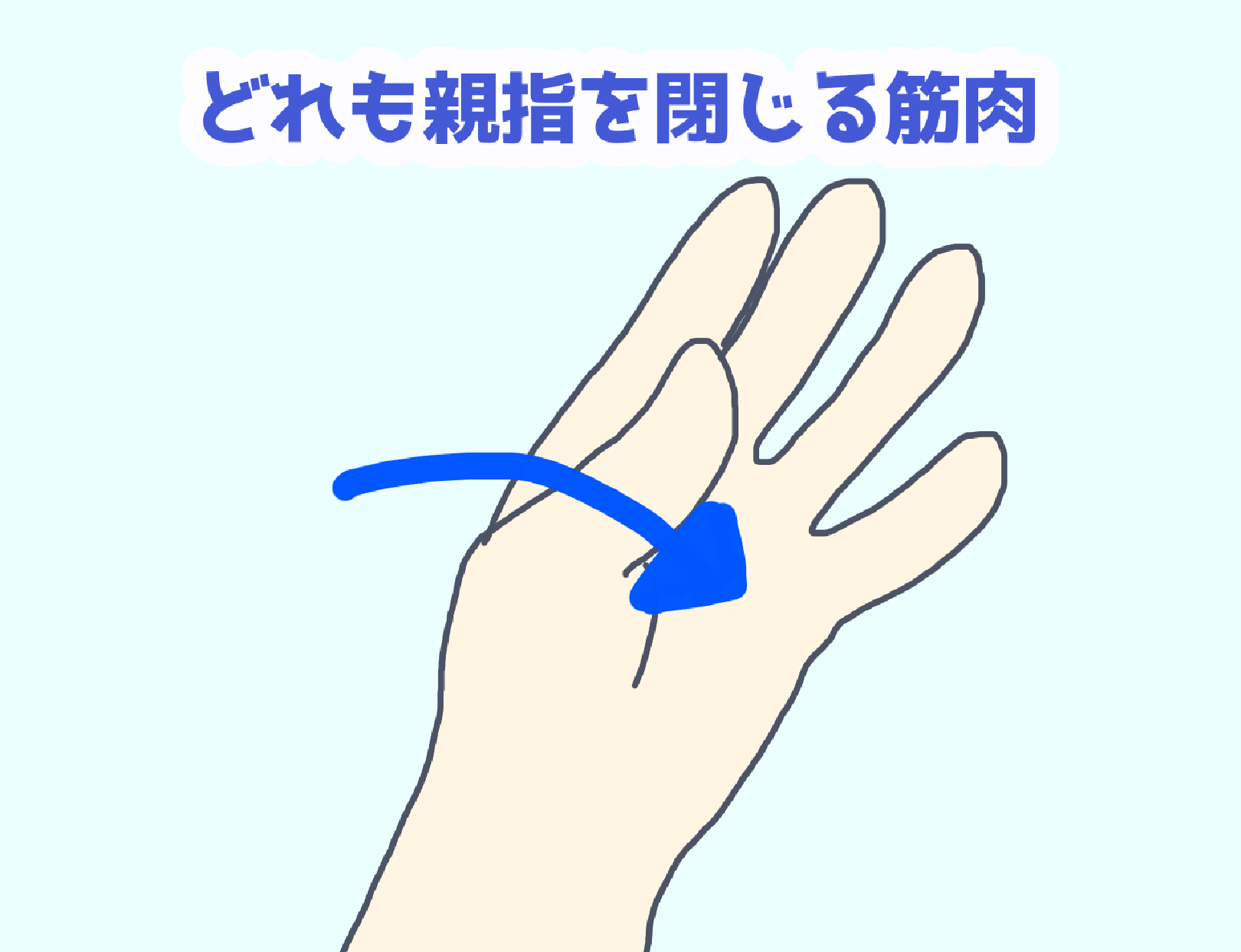 手の親指【母指球】がつった時の対策【簡単にできる】
