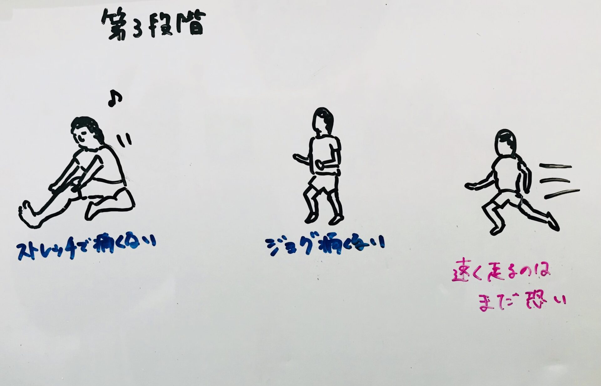 【陸上短距離選手向けハムストリング肉離れのリハビリ例】Rehabilitation for hamstring strain in track ...