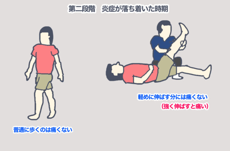 【陸上短距離選手向けハムストリング肉離れのリハビリ例】Rehabilitation for hamstring strain in track ...