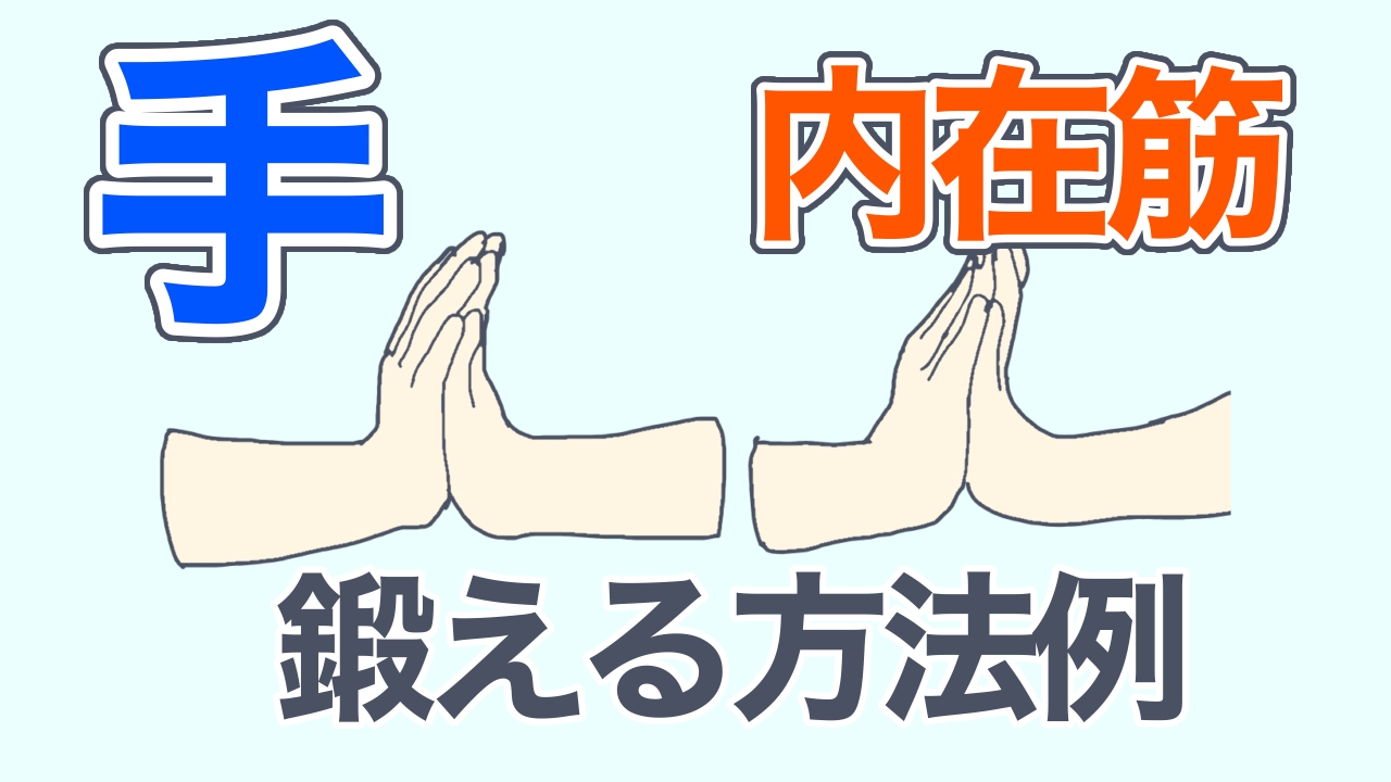 手の内在筋のトレーニング例】Examples of training for the intrinsic muscles of the hand -