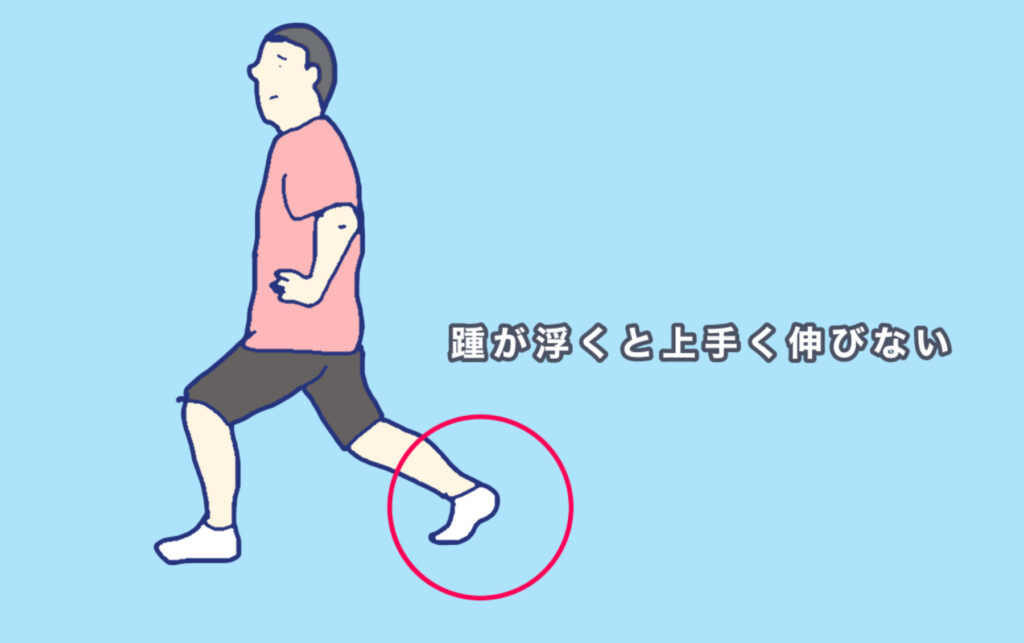 一つ前の画像の説明で、後ろ足の踵が床から離れないようにする方が大切