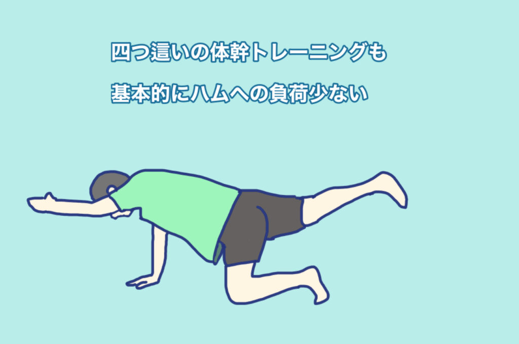 バードドッグと呼ばれる 四つ這いで対角線の手足を前後に伸ばすトレーニング
