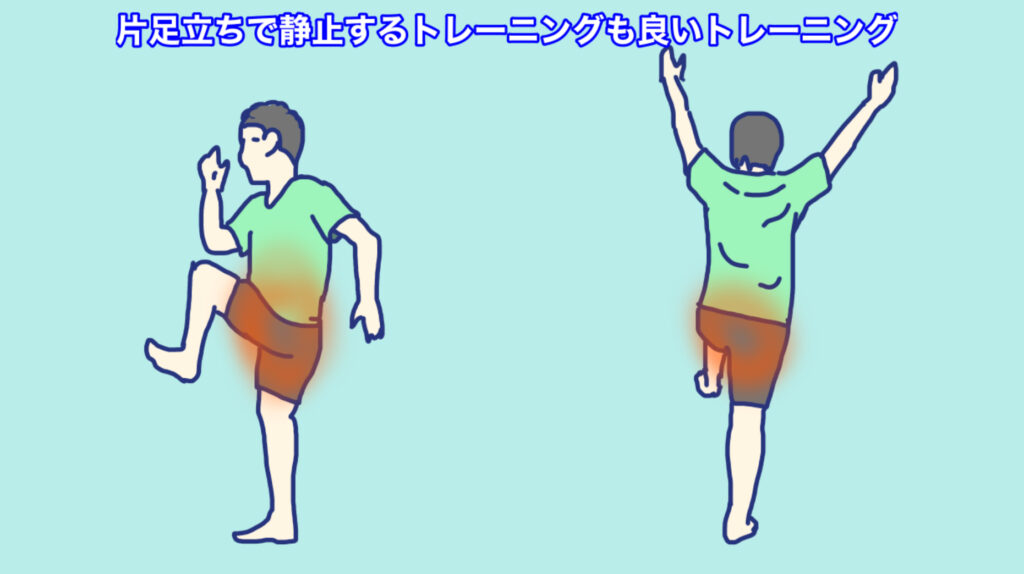片脚立ちで、浮いている側の足を骨盤からしっかり持ち上げるヒップロックという動作