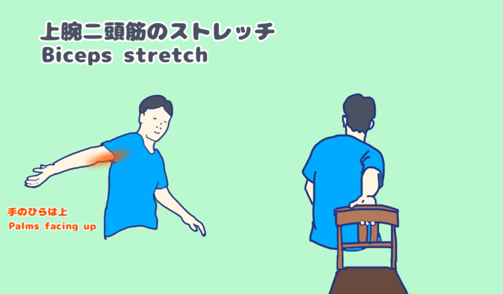 上腕二頭筋のストレッチ　手を後ろに持ってゆき、前腕を強く回内させる