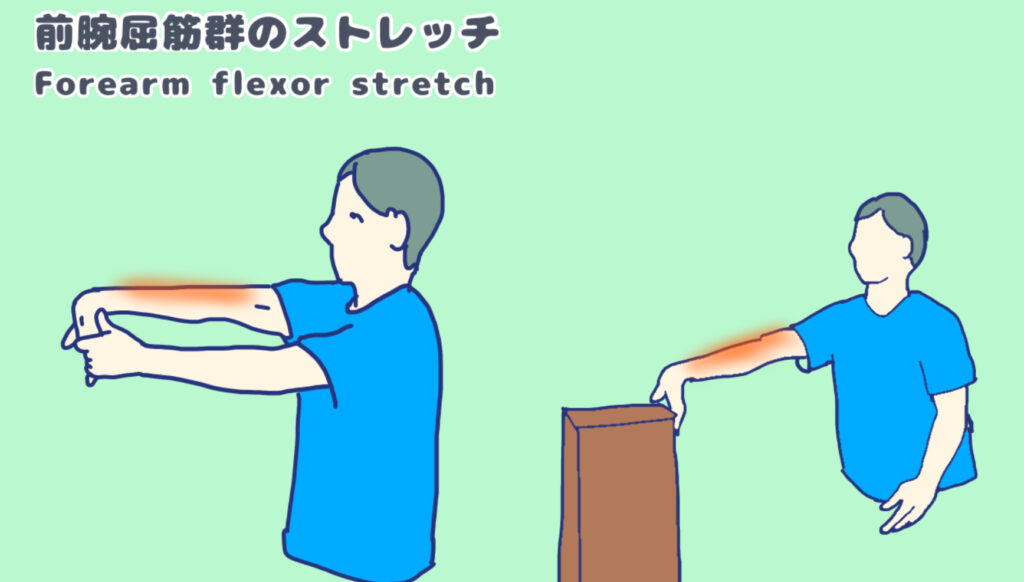 右手の平を上に向けて、左手で手のひらを前方に引き前腕屈筋群のストレッチをしている