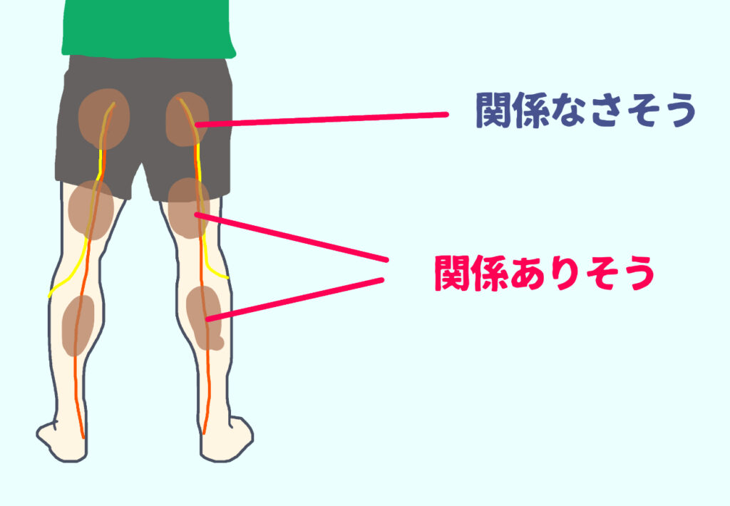 下肢の硬さの中で 今回の症状に関係していると思われる場所